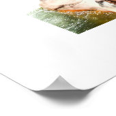 Witte waterschuur poster (Hoek)