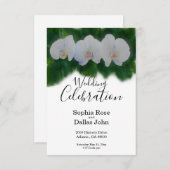 Witte waterverf orchidee schilderij kaart (Voorkant / Achterkant)