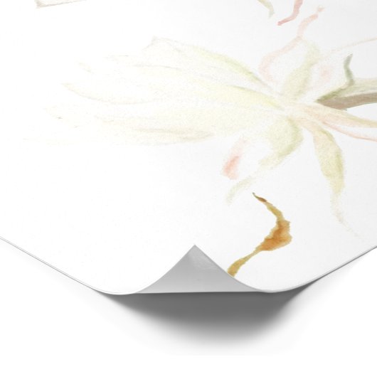 witte waterverf van epifyllum Poster (Hoek)