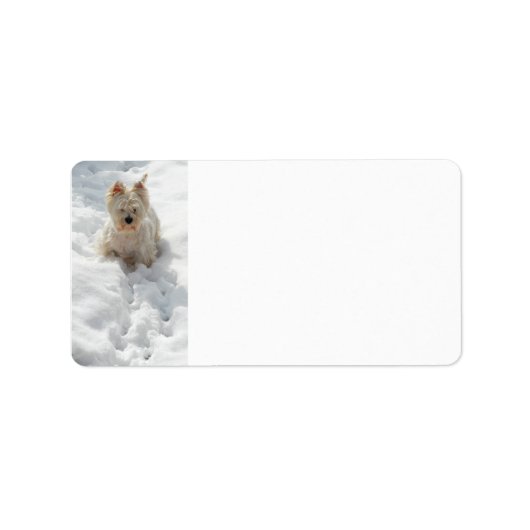 Witte website hond in sneeuw adreslabel etiket (Voorkant)