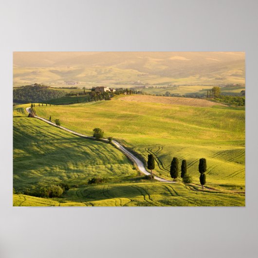 Witte weg in het poster Toscane (Voorkant)