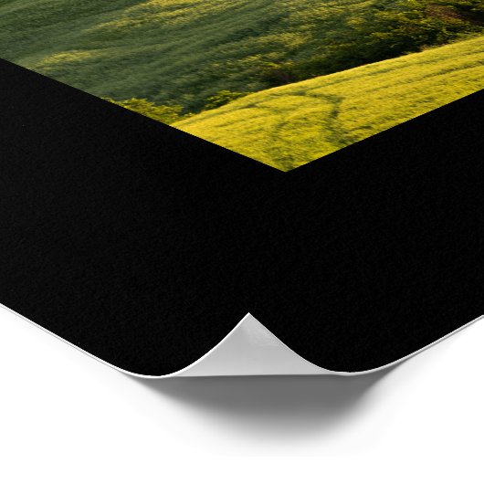 Witte weg in Toscaanse landschap, zwart poster afd (Hoek)