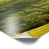 Witte weg in Toscaanse landschapsfoto-afdruk Foto Afdruk (Hoek)