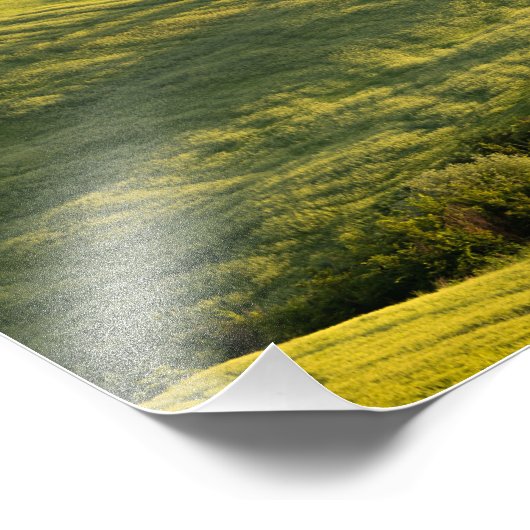 Witte weg in Toscaanse landschapsfoto-afdruk Foto Afdruk (Hoek)