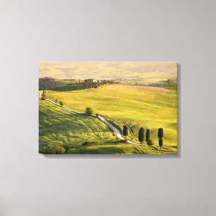Witte weg in Toscane landschap canvas print