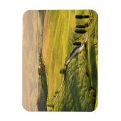 Witte weg in Toscane landschap rechthoek magneet (Verticaal)