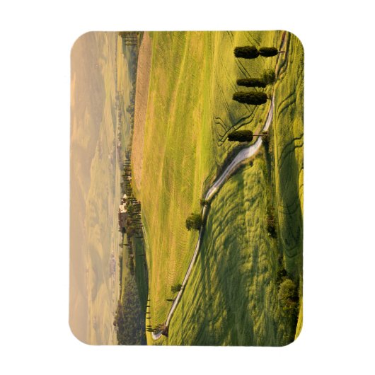 Witte weg in Toscane landschap rechthoek magneet (Verticaal)