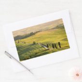 Witte weg in Toscane landschap rechthoek sticker (Envelop)
