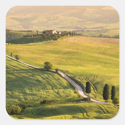 Witte weg in Toscane landschap sticker (Voorkant)