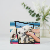 Witte Whippet dimensionale kunst, verjaardagsansic Briefkaart (Staand voorkant)