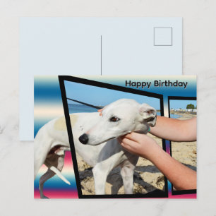 Witte Whippet dimensionale kunst, verjaardagsansic Briefkaart