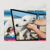 Witte Whippet dimensionale kunst, verjaardagsansic Briefkaart (Voorkant)