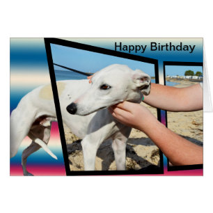 Witte Whippet Hond Dimensionale Kunst, Bday Kaart