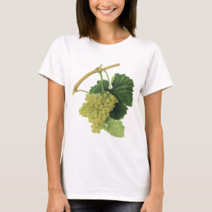Witte wijn druiven aan de wijnstok, vintage voedse t-shirt