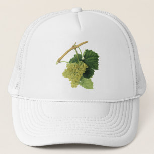 Witte wijn druiven aan de wijnstok, vintage voedse trucker pet