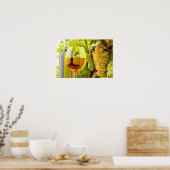 Witte wijn en druiven poster (Keuken)
