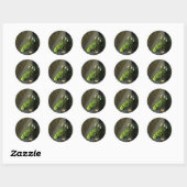 Witte wijn en groene druiven Stickers (Vel)