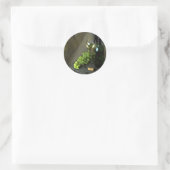 Witte wijn en groene druiven Stickers (Tas)