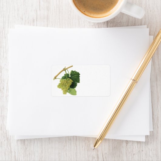 Witte wijndruiven op de wijnstok,  voedingsvruchte etiket (Insitu)