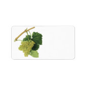 Witte wijndruiven op de wijnstok,  voedingsvruchte etiket (Voorkant)