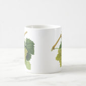 Witte wijndruiven op de wijnstok,  voedingsvruchte koffiemok (Center)