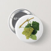 Witte wijndruiven op de wijnstok,  voedingsvruchte ronde button 5,7 cm (Voorkant /achterkant)