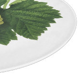 Witte wijndruiven op de wijnstok,  voedingsvruchte snijplank (Hoek)