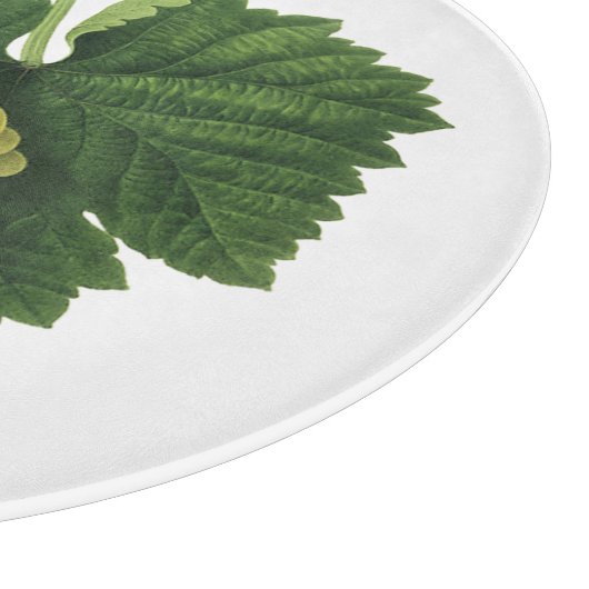 Witte wijndruiven op de wijnstok,  voedingsvruchte snijplank (Hoek)