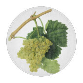 Witte wijndruiven op de wijnstok,  voedingsvruchte snijplank (Voorkant)