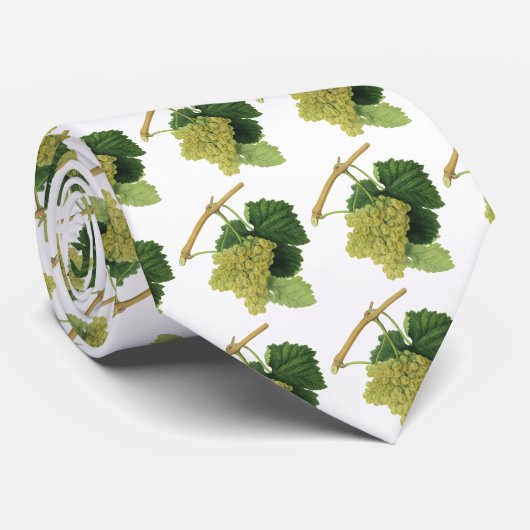 Witte wijndruiven op de wijnstok,  voedingsvruchte stropdas (Opgerold)