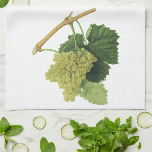 Witte wijndruiven op de wijnstok,  voedingsvruchte theedoek (Gevouwen)