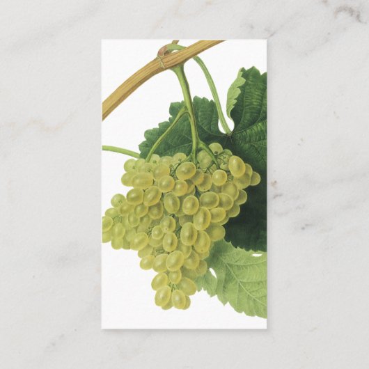 Witte wijndruiven op de wijnstok,  voedingsvruchte visitekaartje (Achterkant)