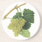 Witte wijndruiven op de wijnstok,  voedingsvruchte zandsteen onderzetter (Voorkant)