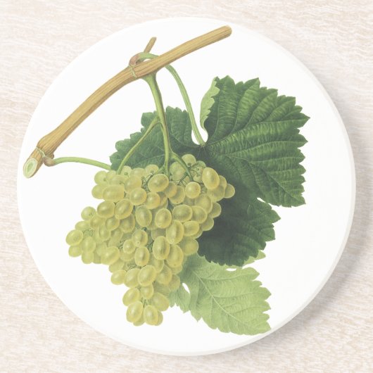 Witte wijndruiven op de wijnstok,  voedingsvruchte zandsteen onderzetter (Voorkant)