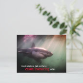 Witte wijzerhaai onder water feestdagenkaart (Staand voorkant)