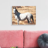 Witte Wild Mustang Paard Canvas Print (Insitu (Woonkamer))