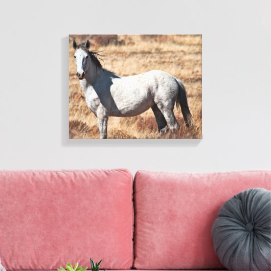 Witte Wild Mustang Paard Canvas Print (Insitu (Woonkamer))