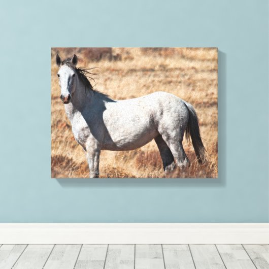 Witte Wild Mustang Paard Canvas Print (Insitu (Houten vloer))