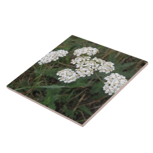Witte Wildbloem Tile Tegeltje (Zijkant)