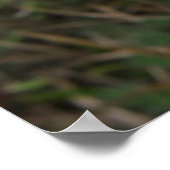 Witte Wildbloemen afdrukken Poster (Hoek)