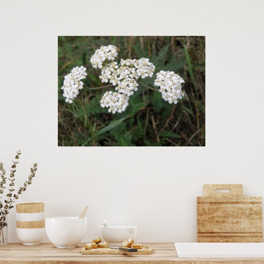 Witte Wildbloemen afdrukken Poster (Keuken)