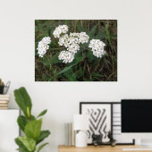 Witte Wildbloemen afdrukken Poster (Thuiskantoor)