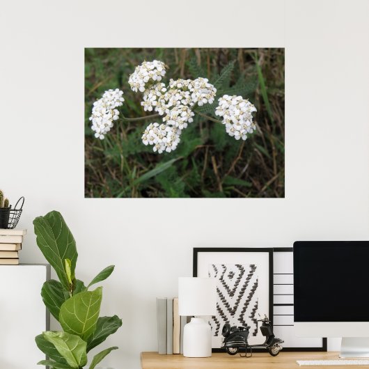 Witte Wildbloemen afdrukken Poster (Thuiskantoor)