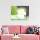 Witte Wilde Aardbei Bloom Canvas Afdruk (Insitu (Woonkamer))