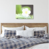 Witte Wilde Aardbei Bloom Canvas Afdruk (Insitu (Slaapkamer))