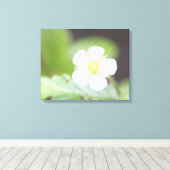 Witte Wilde Aardbei Bloom Canvas Afdruk (Insitu (Houten vloer))