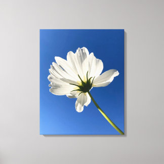 Witte Wilde Bloem Canvas Kunst