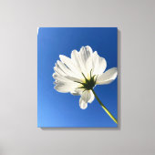 Witte Wilde Bloem Canvas Kunst (Voorkant)