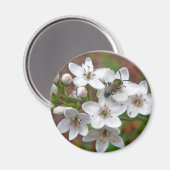 Witte wilde bloem en bijenvis magneet (Voorkant / Achterkant)