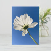 Witte Wilde Bloem Kaart (Staand voorkant)